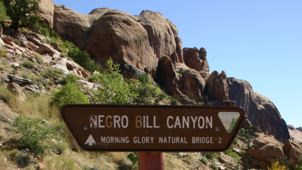 Negro Bill Canyon