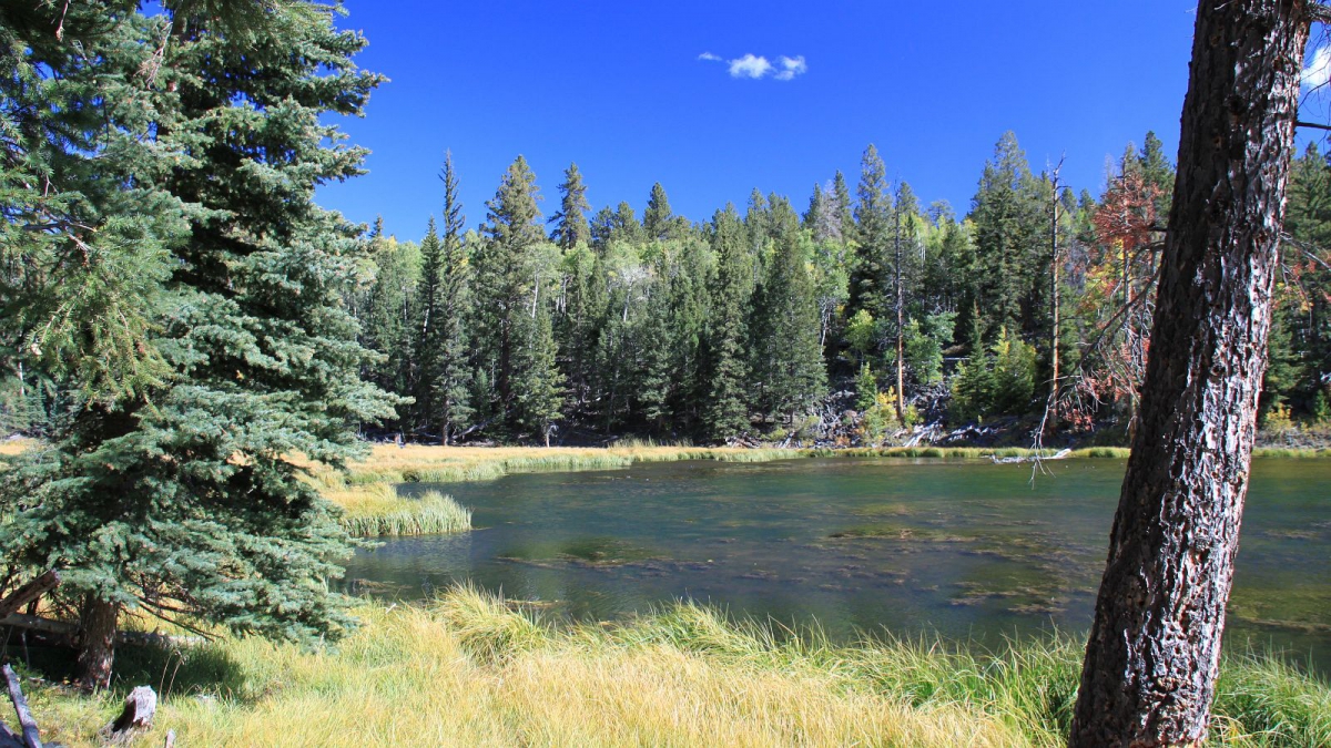 Posey Lake – Grand Staircase-Escalante National Monument – Utah