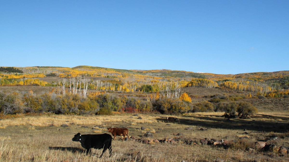 Aquarius Plateau – Utah