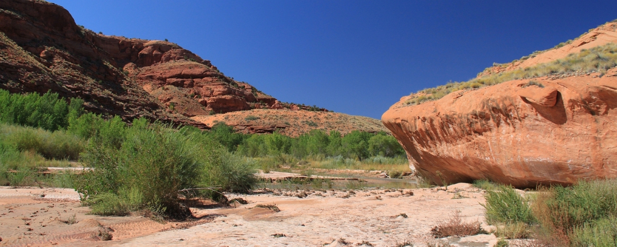 Fence Canyon