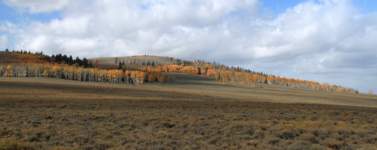 Hell's Backbone Road