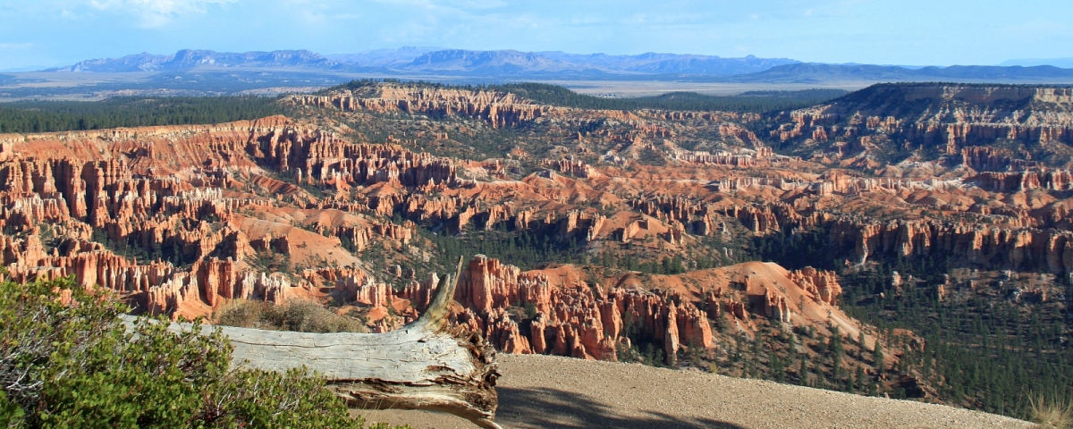 Under the Rim trail