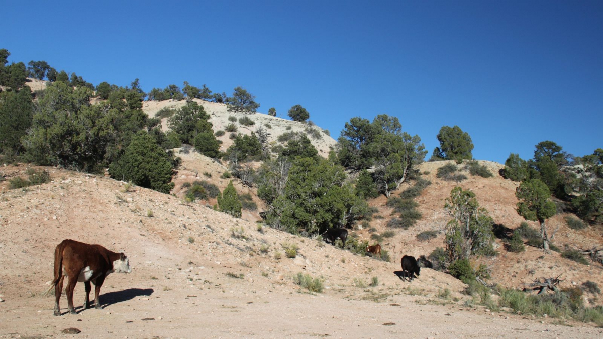 Skutumpah Road – Grand Staircase Escalante National Monument – Utah
