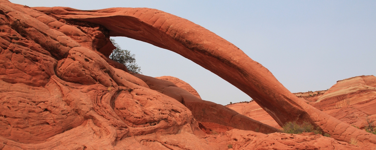 Cobra Arch