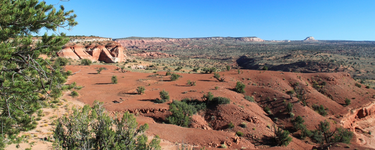 Cobra Arch