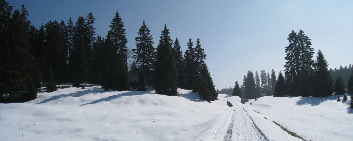 La Bassine en Hiver