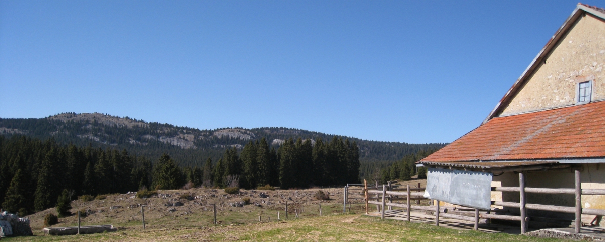 Cabane du Peney