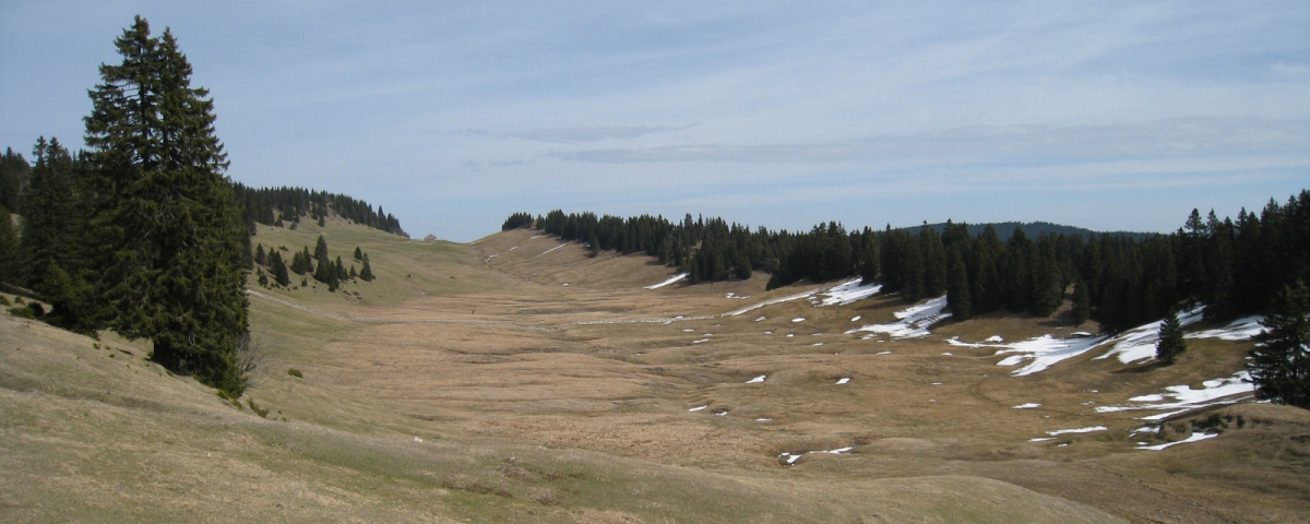 La Petite Chaux