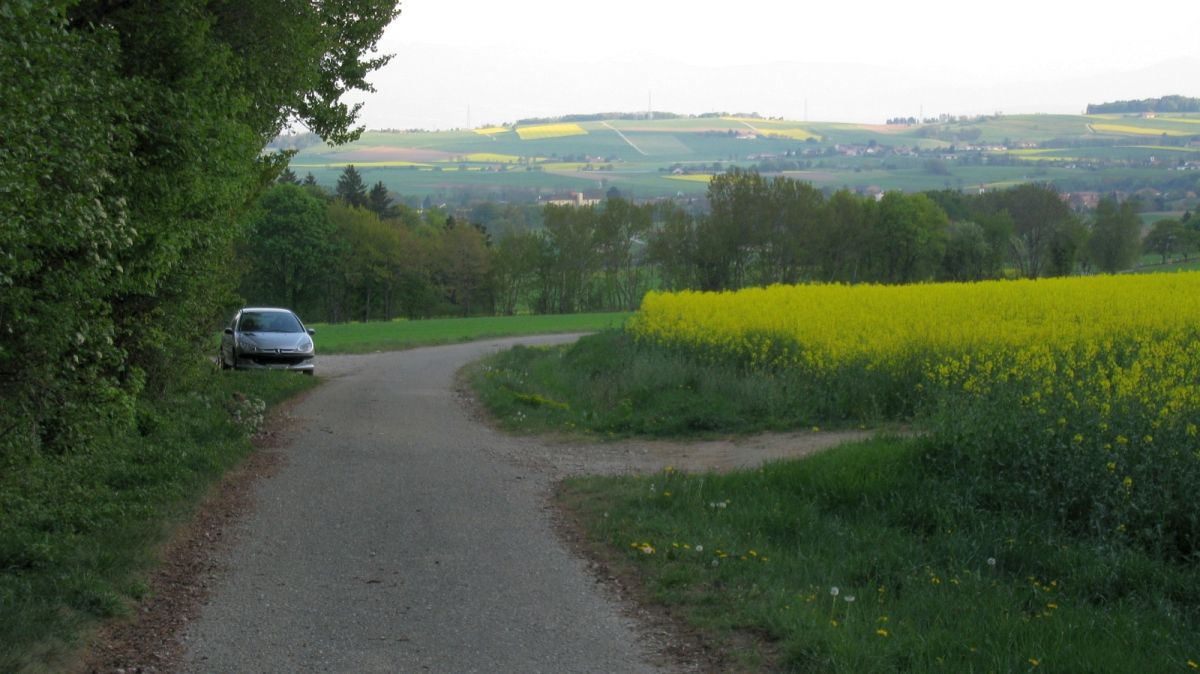 Chaniauty – Vaud – Suisse
