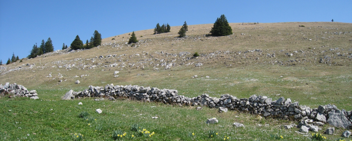 Le Pré de St-Livres