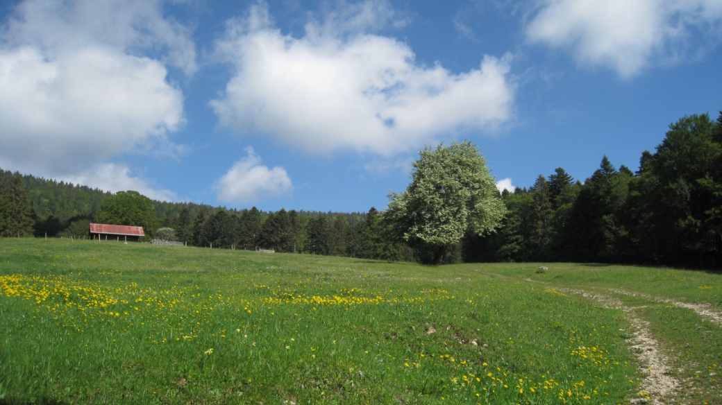 La Reguéla - Vaud - Suisse