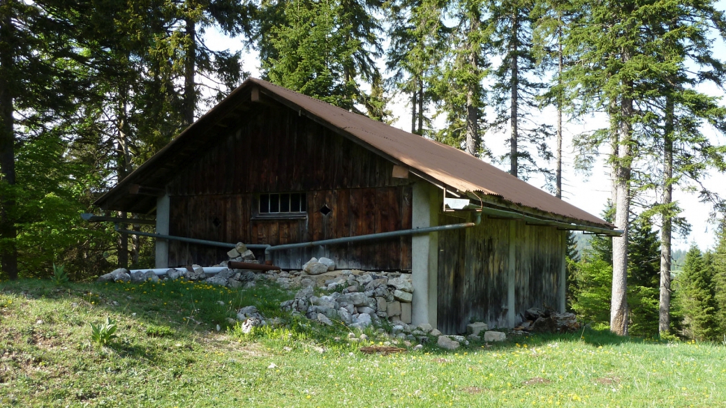 Refuge forestier des Echadex - Marchissy - Vaud - Suisse