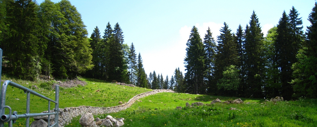 Le Creux du Crou