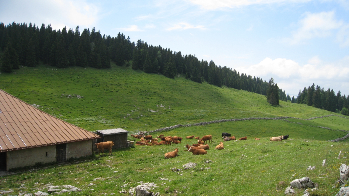 L’Arzière – Vaud – Suisse