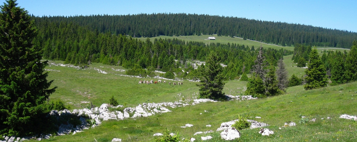 La Fontaine Vallier