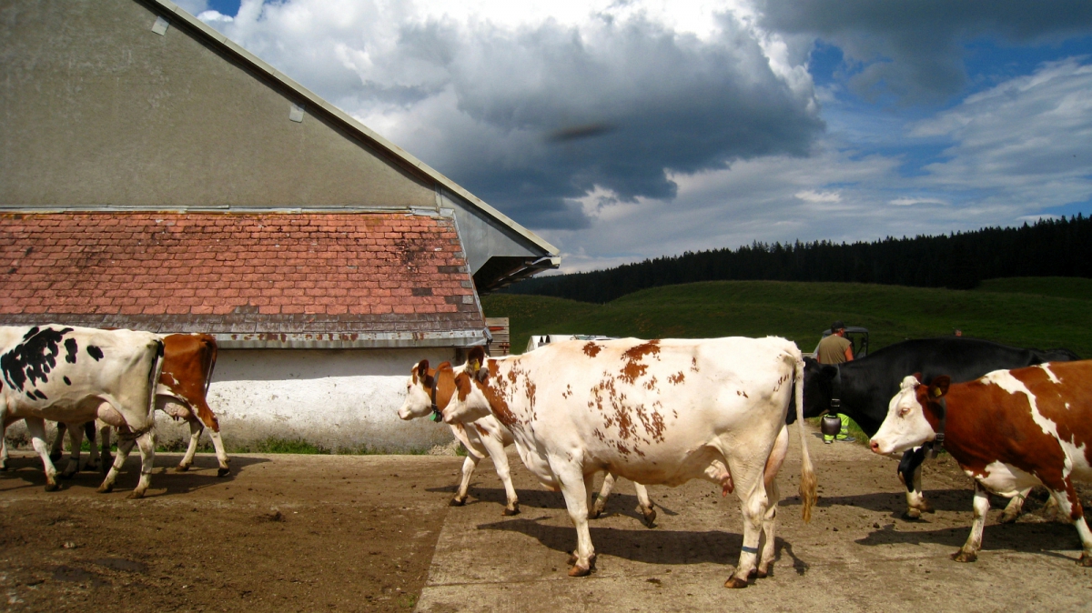 La Bassine – Arzier-Le Muids – Vaud – Suisse