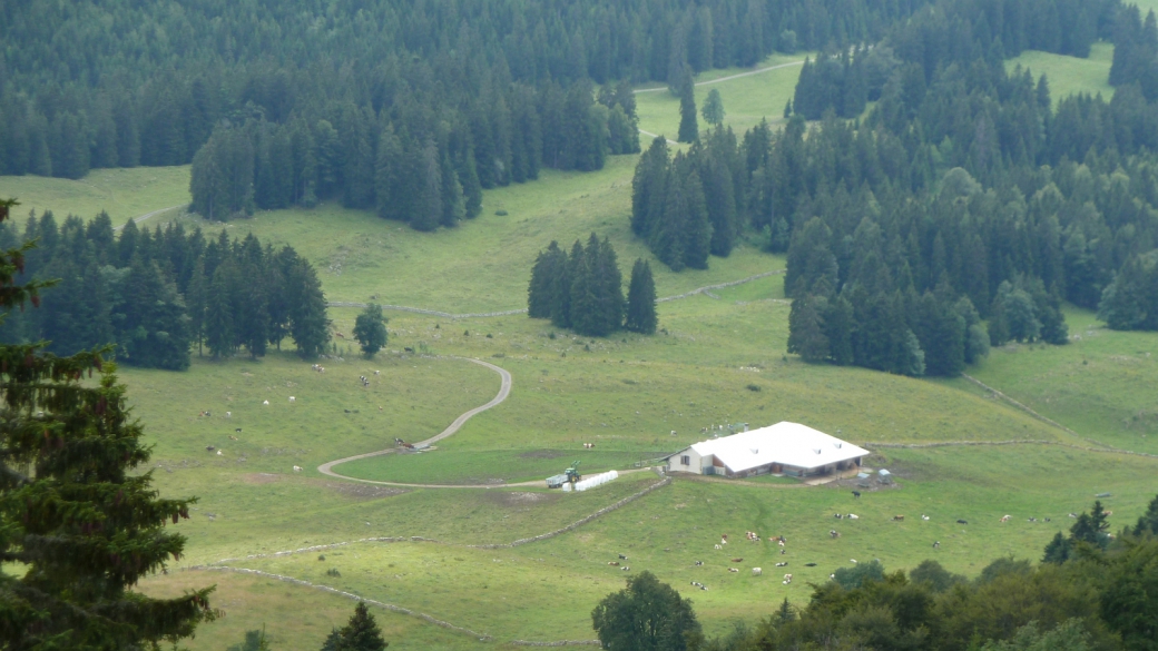 Les Coppettes - Vaud - Jura