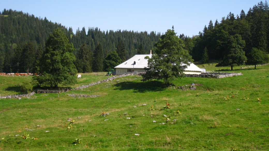 Pré de l'Haut-Dessus