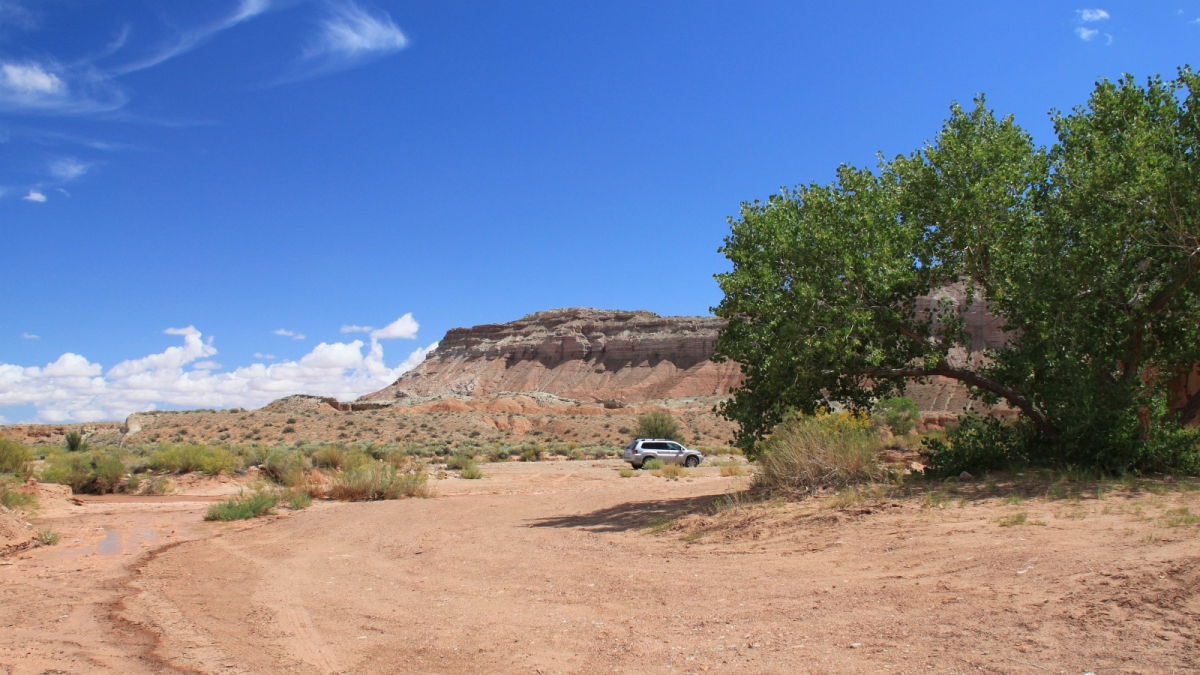 Ding Canyon Trailhead – Emery County – Utah
