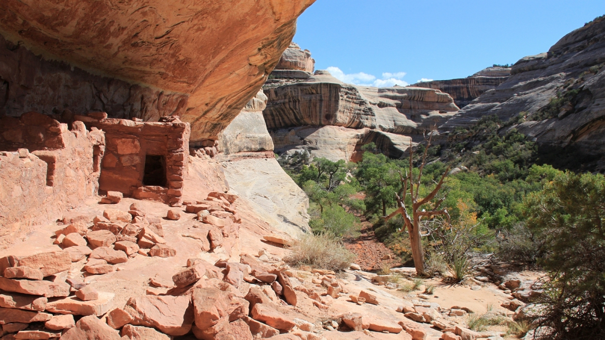Natural Bridges National Monument – Utah