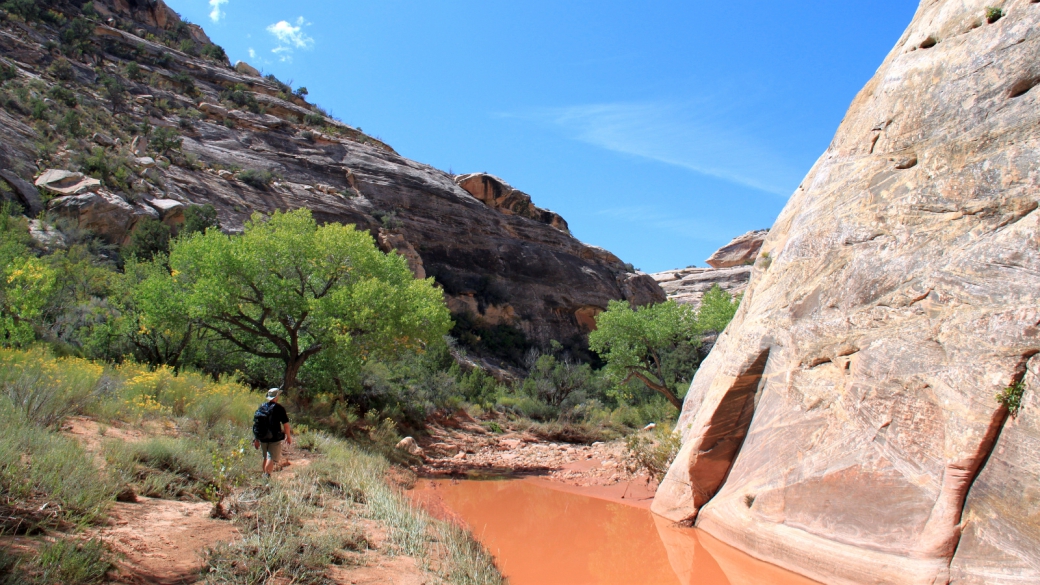 Stefano marchant dans le White Canyon, à Natural Bridges National Monument.