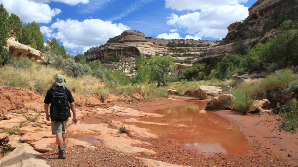 Stefano marchant dans l'Armstrong Canyon, à Natural Bridges National Monument.