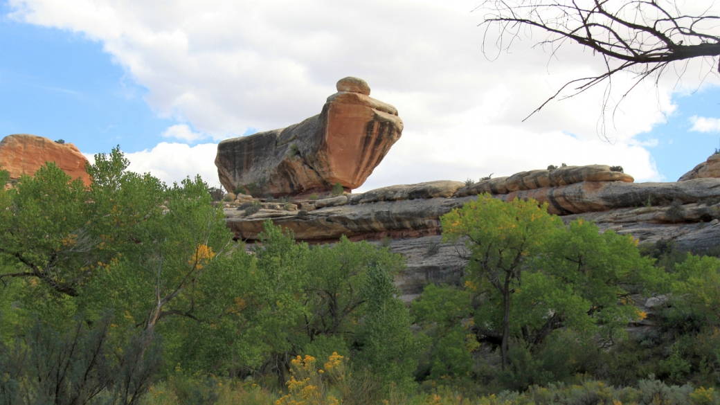 Vue sur The Shoe, au Natural Bridges National Monument.