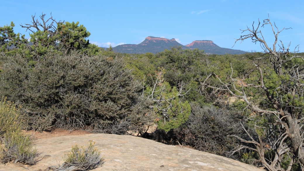 Au loin, les Bear Ears, montagne sacrée des Navajos.