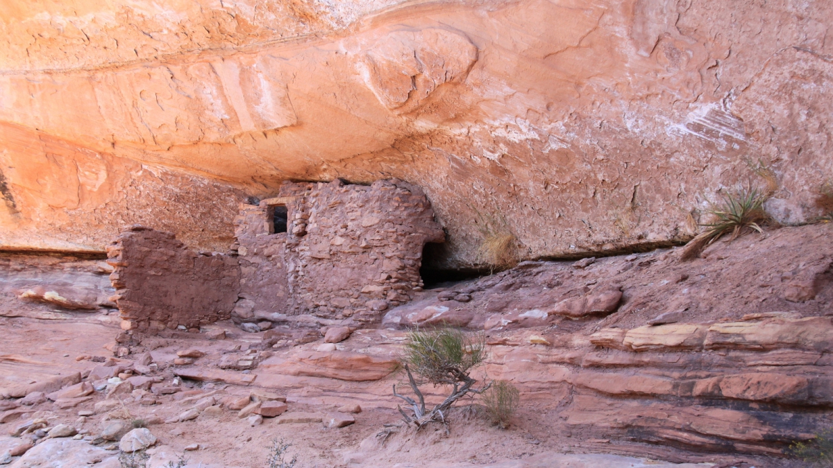 Mule Canyon – Cedar Mesa – Utah