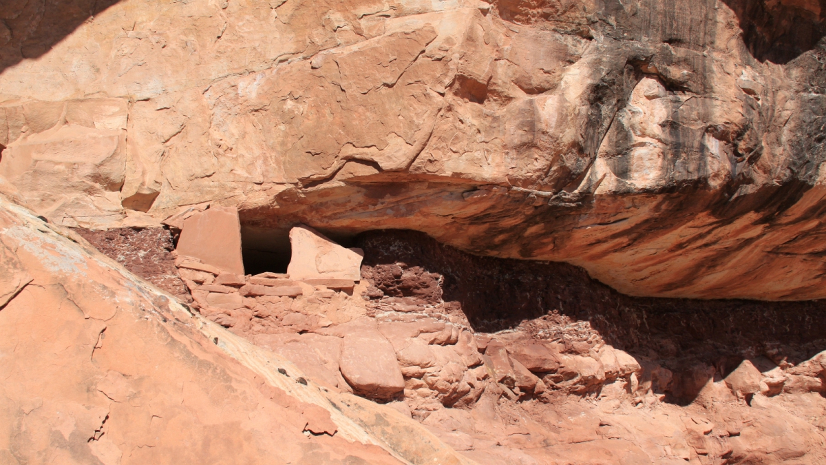 Road Canyon – Cedar Mesa – Utah