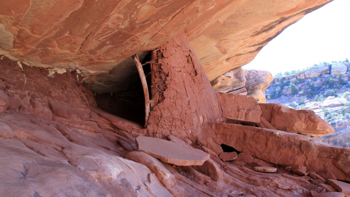 Road Canyon – Cedar Mesa – Utah