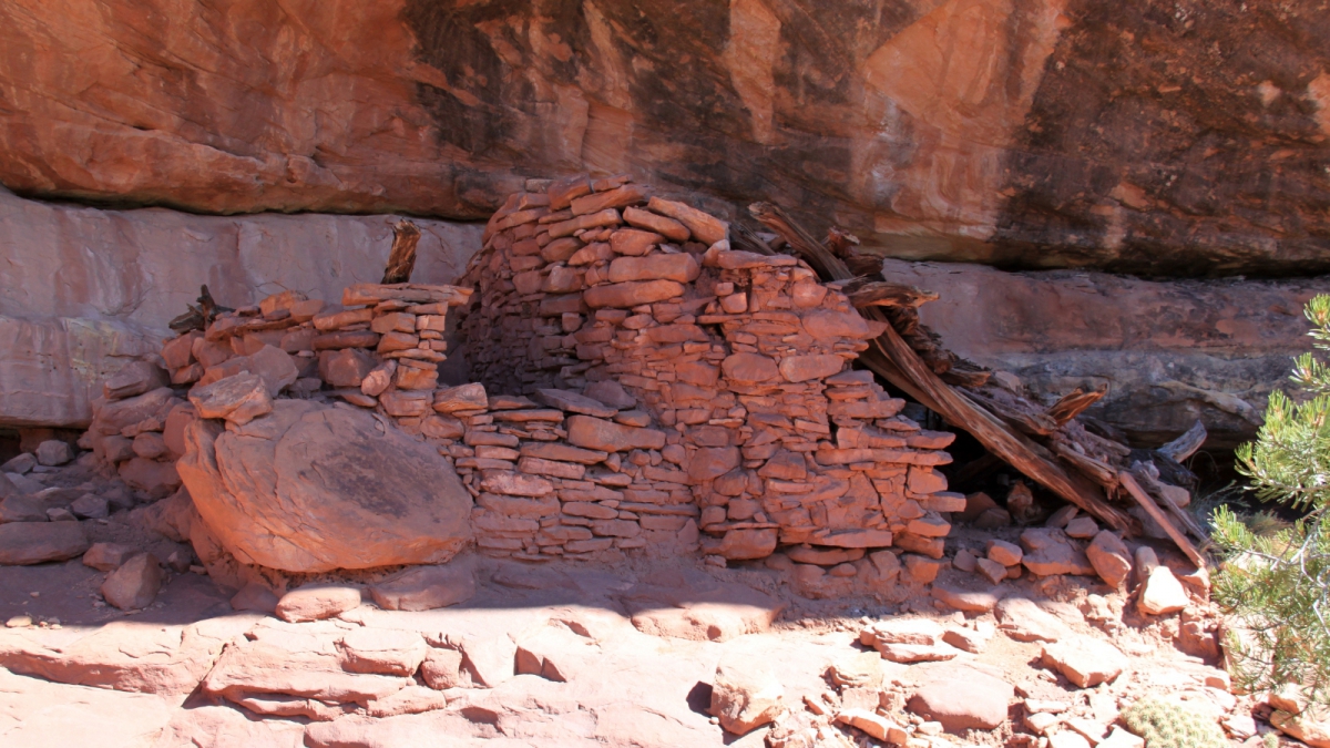 Road Canyon – Cedar Mesa – Utah
