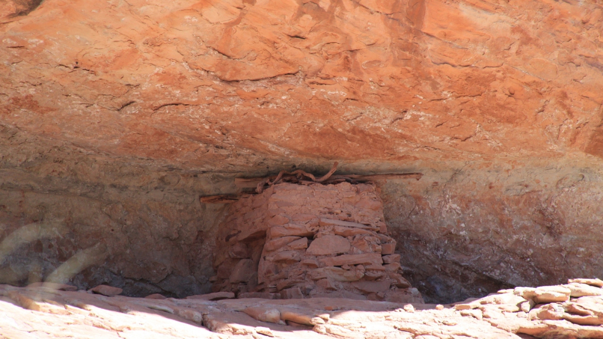 Road Canyon – Cedar Mesa – Utah
