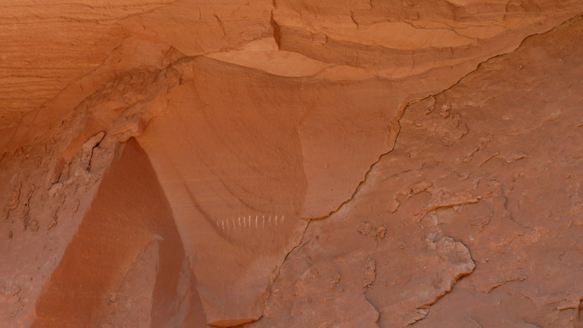 Road Canyon – Cedar Mesa – Utah