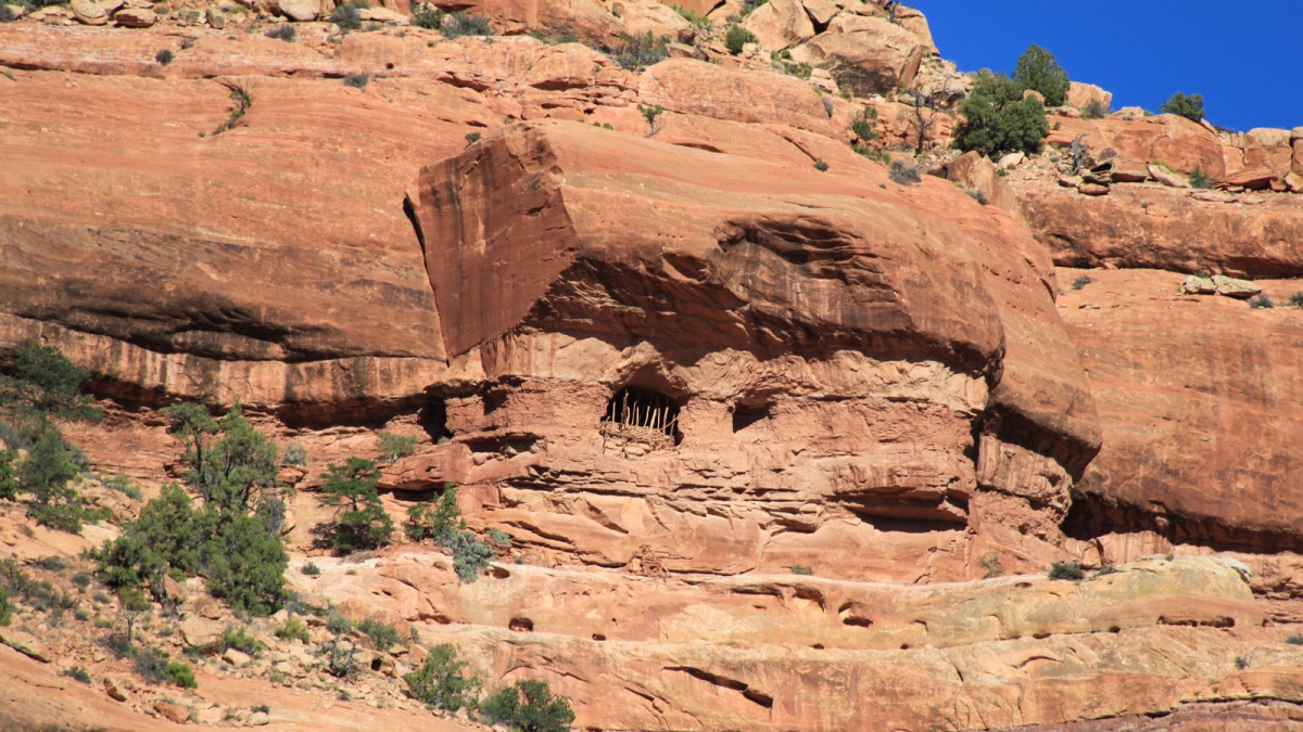 Arch Canyon – Cedar Mesa – Utah