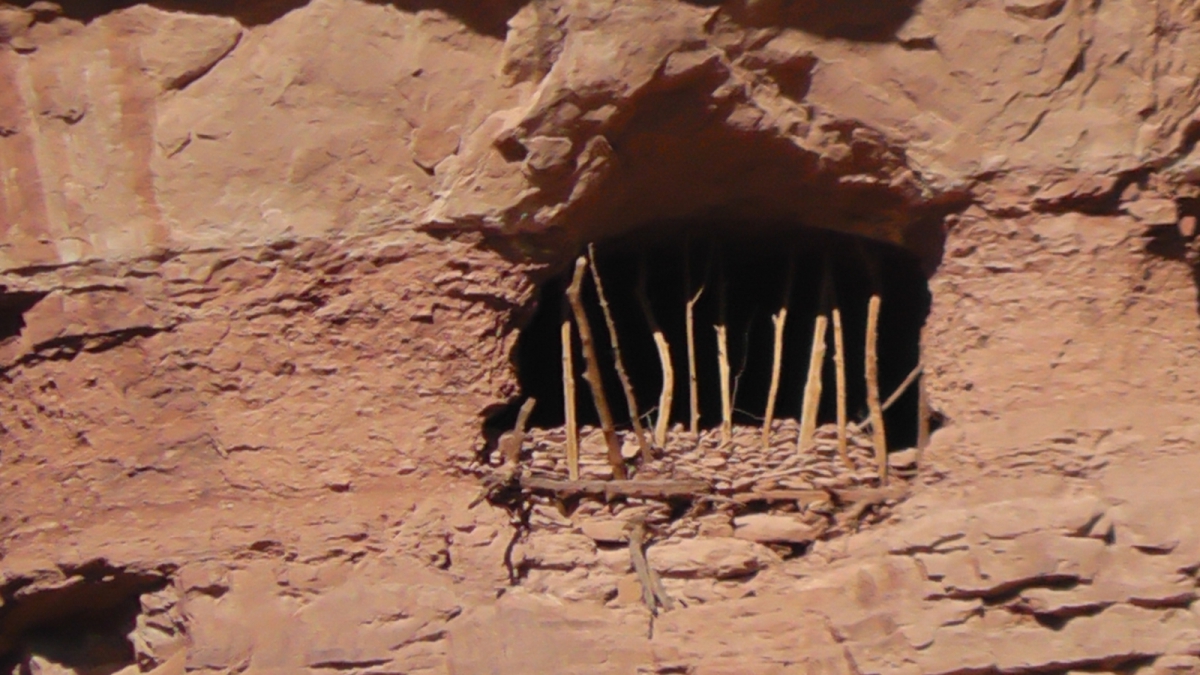 Arch Canyon – Cedar Mesa – Utah