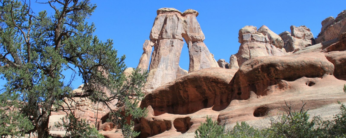 Druid Arch à The Needles, Canyonlands National Park, dans l'Utah.