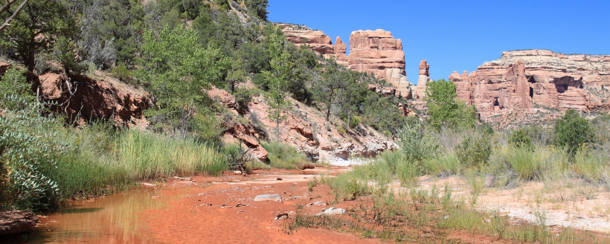 Arch Canyon, près de Blanding, dans l'Utah.