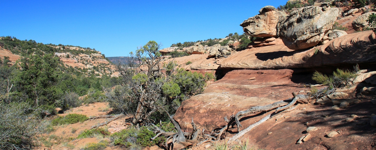 Mule Canyon