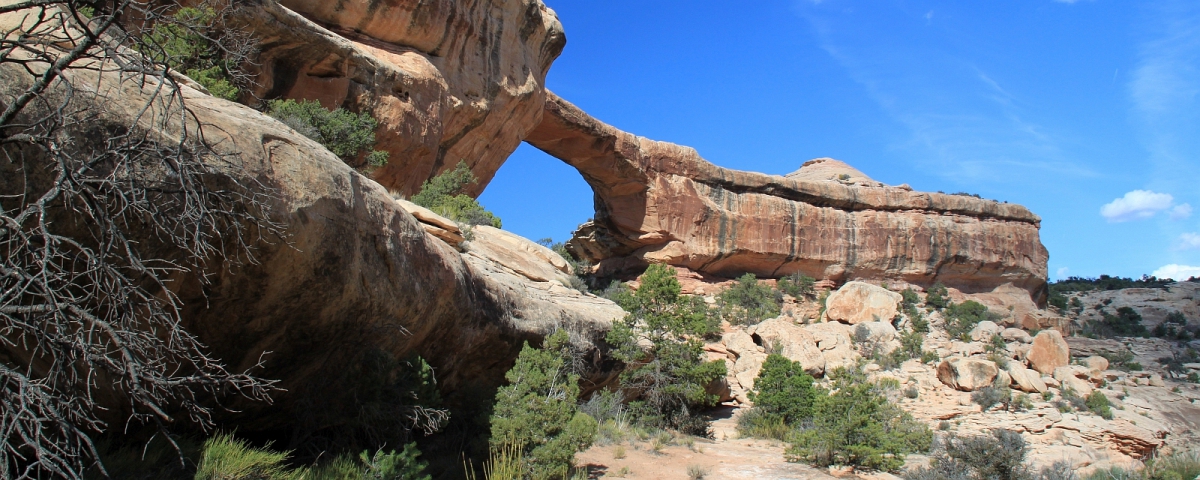 Owachomo Bridge à Natural Bridges National Monument.