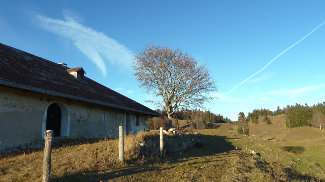 Le Planet - Vaud - Suisse