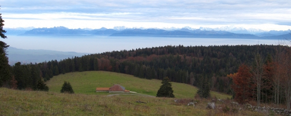Le Pré Nouveau