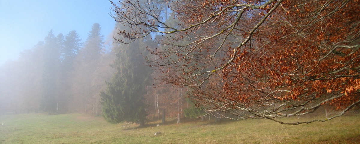 Les Chenevières