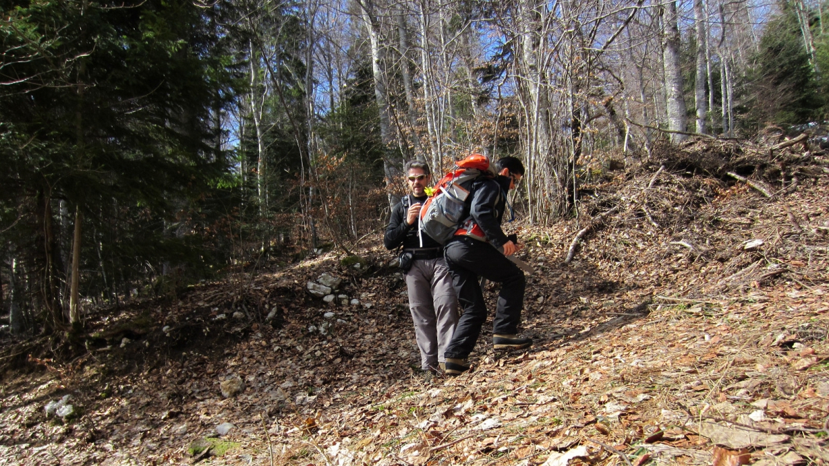 Aux environs de la Route des Bois – Vaud – Suisse