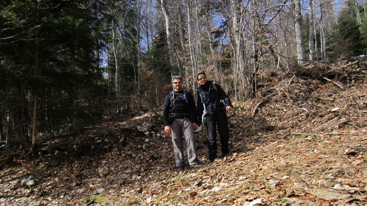 Aux environs de la Route des Bois – Vaud – Suisse