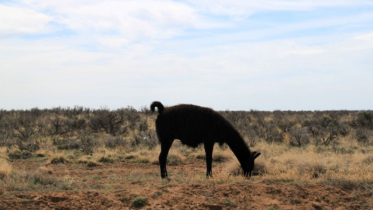 De-Na-Zin Wilderness Area – New Mexico
