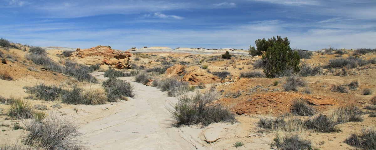 De-Na-Zin Wilderness Area - New Mexico