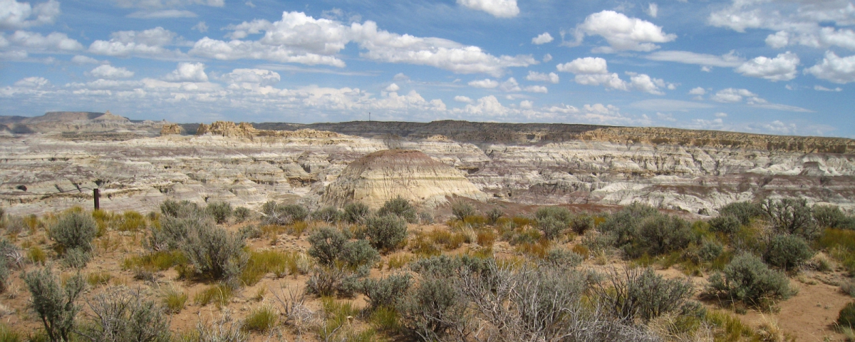 Angel Peak Wilderness Area - New Mexico