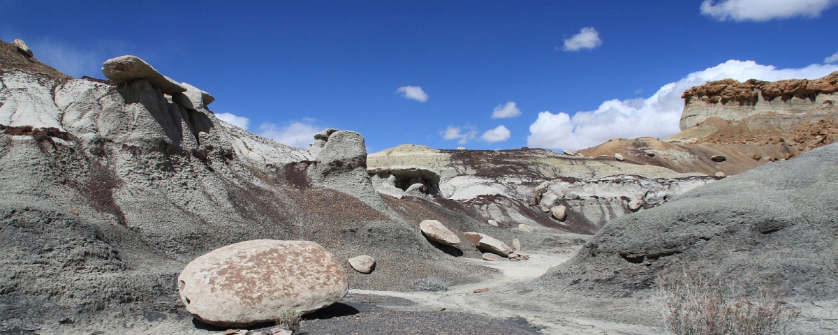 Bisti Wilderness Area, Nouveau-Mexico