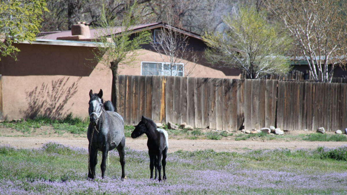 Taos Pueblo – New Mexico